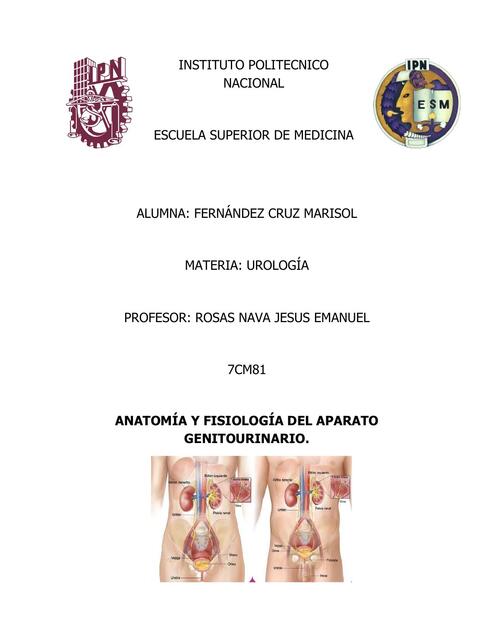 Anatomía y Fisiología del Aparato Genitourinario 