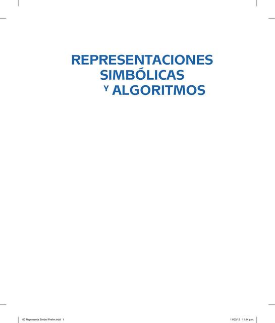 Representaciones simbólicas y algoritmos 