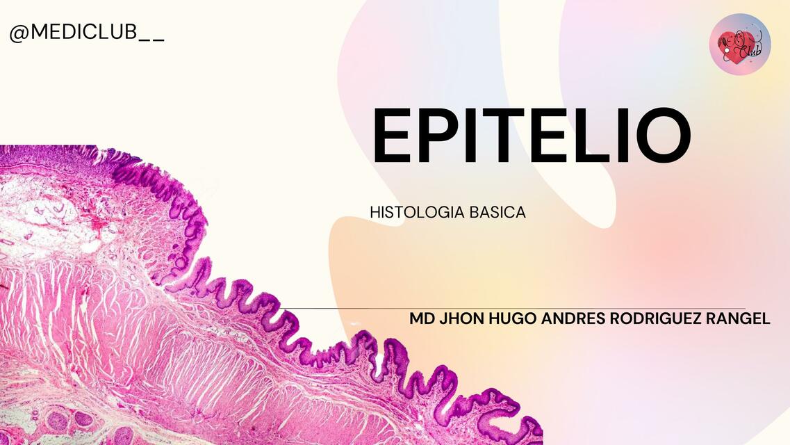 EPITELIO uDocz