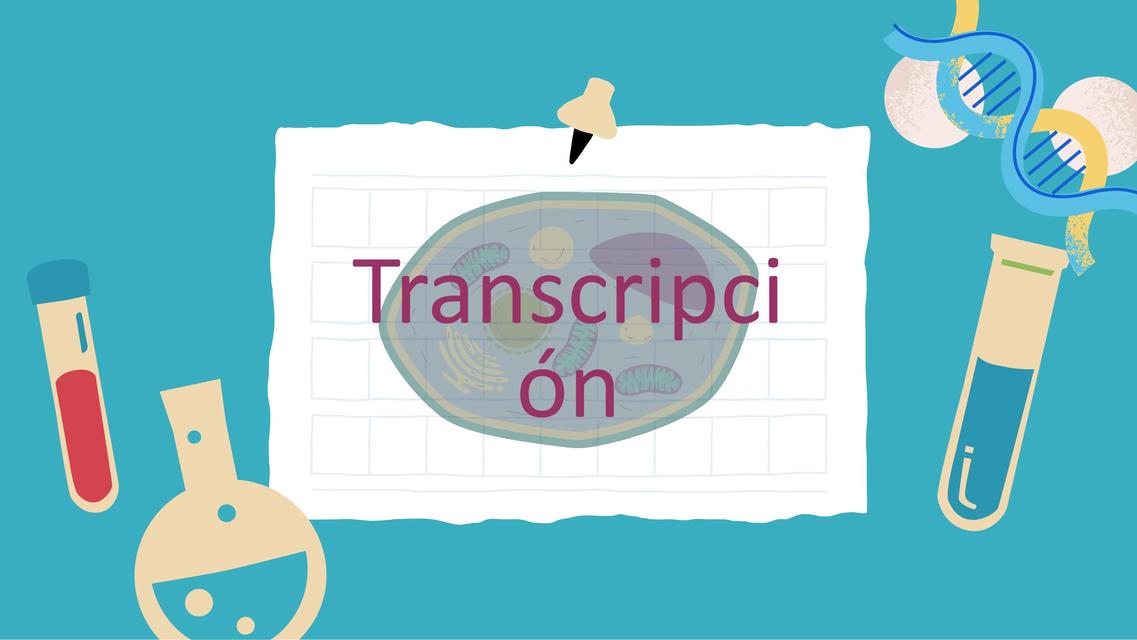 Transcripción 