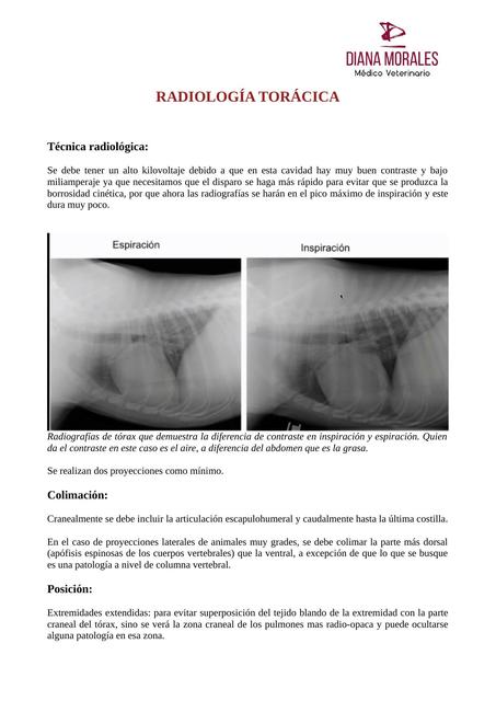 Radiología torácica en Clínica de Pequeños Animales