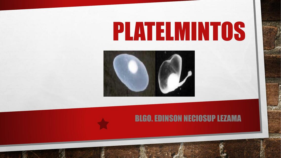 Platelmintos 