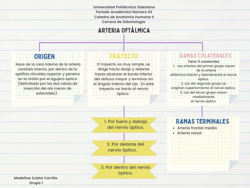 Arteria Oftálmica, Arteria Subclavia y Polígono de Willis