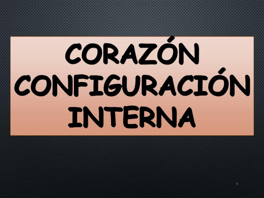 Corazón Configuración Interna 