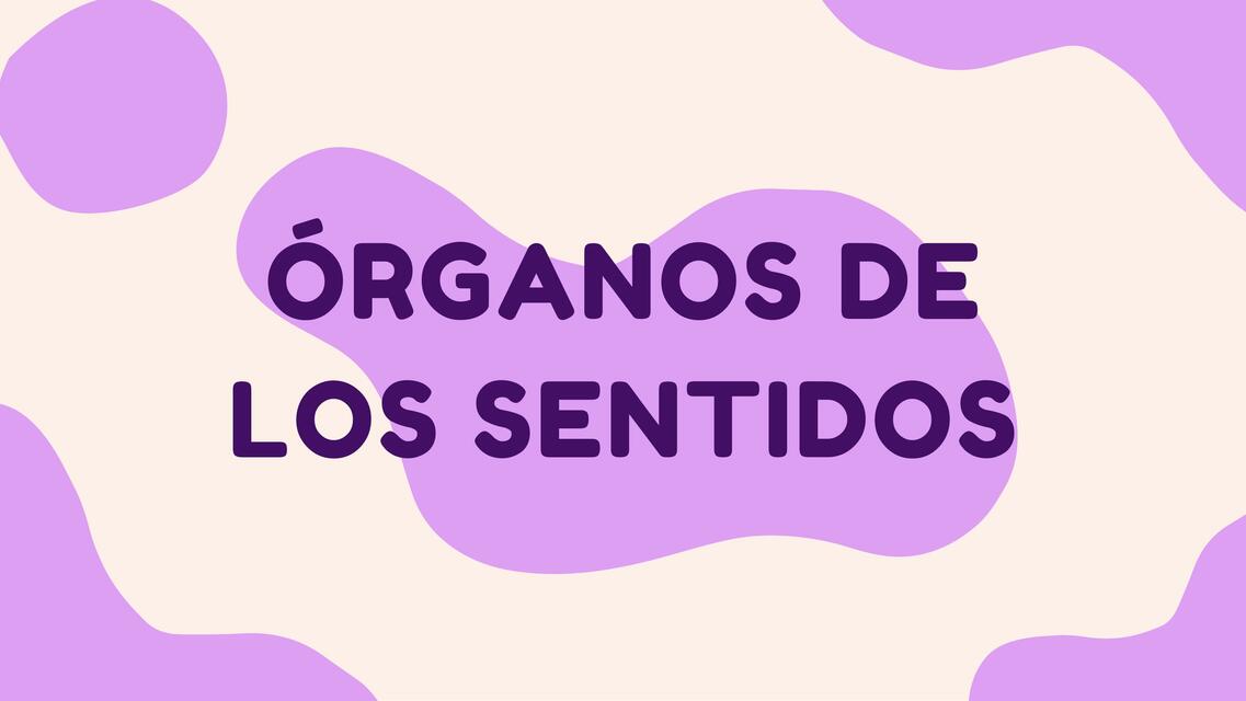 Órganos de los Sentidos