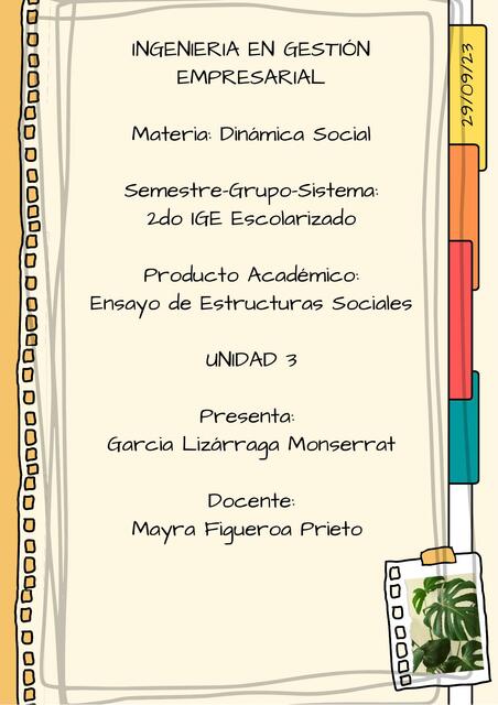 Ensayo de Estructuras Sociales 