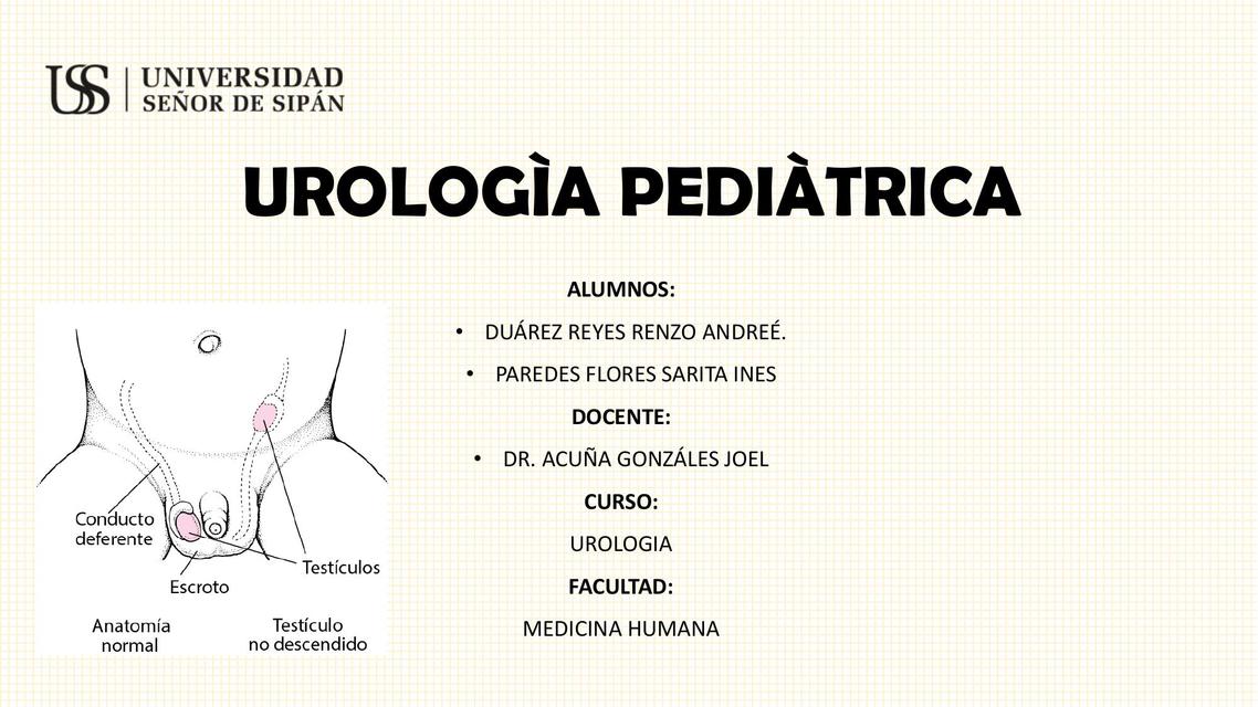 Urología pediátrica 