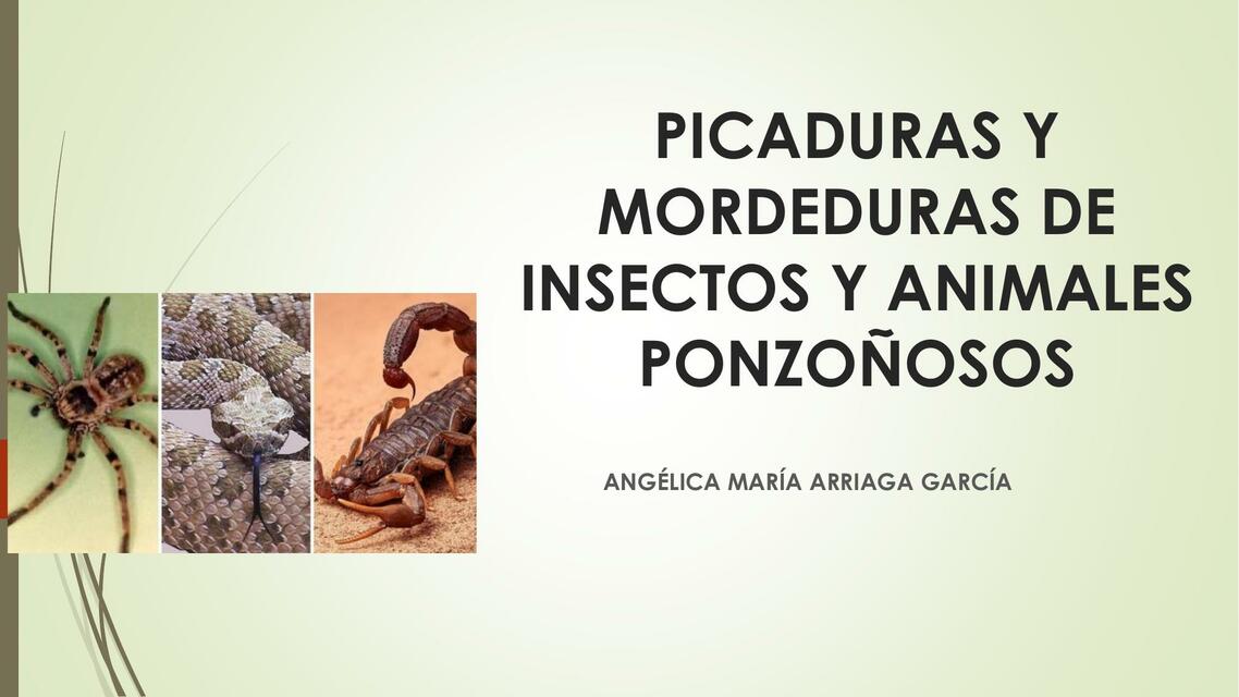 Picaduras y Mordeduras de Insectos y Animales Ponzoñosos 