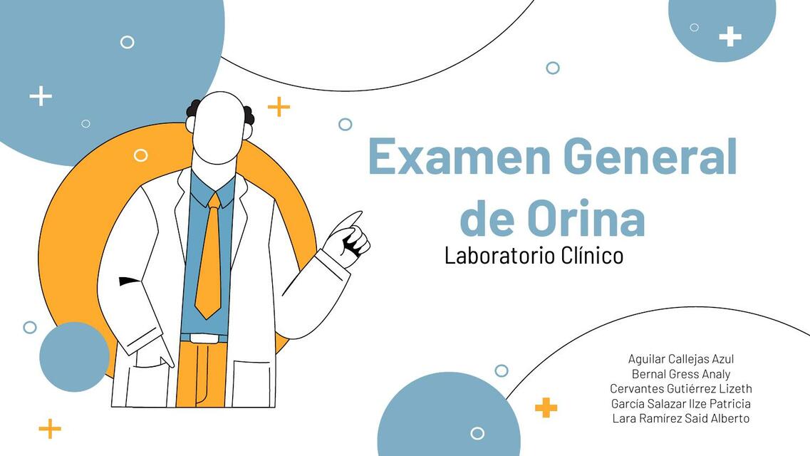 Examen General de Orina 