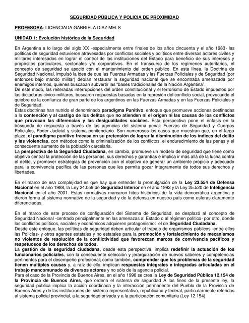 Resumen unidades 1 a 4 Seguridad Pública 1