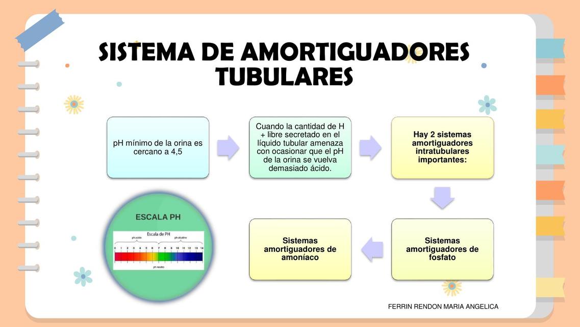 Sistema de amortiguadores tubulares 