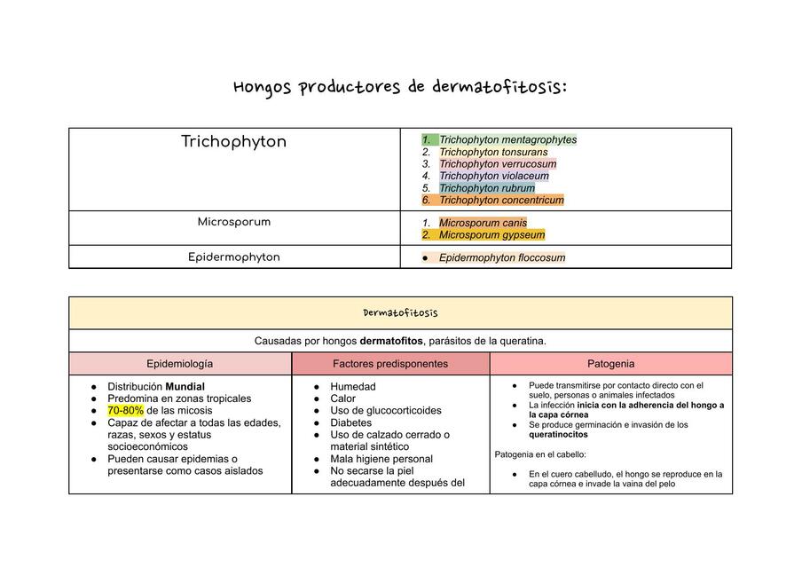 Hongos productores de dermatofitosis