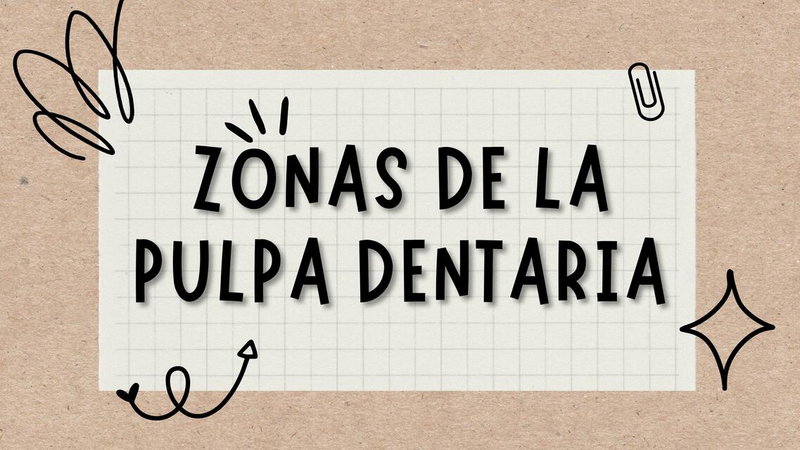 Zonas de la Pulpa Dentaria 