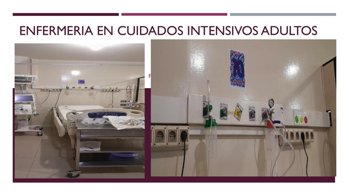 Enfermería en cuidados intensivos adultos