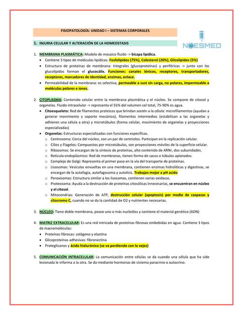 Fisiopatología: Unidad I - Sistemas corporales