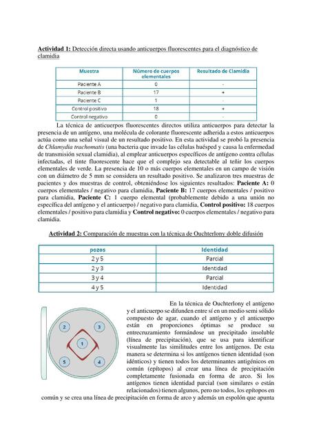 Resumen de prácticas de Inmunología 