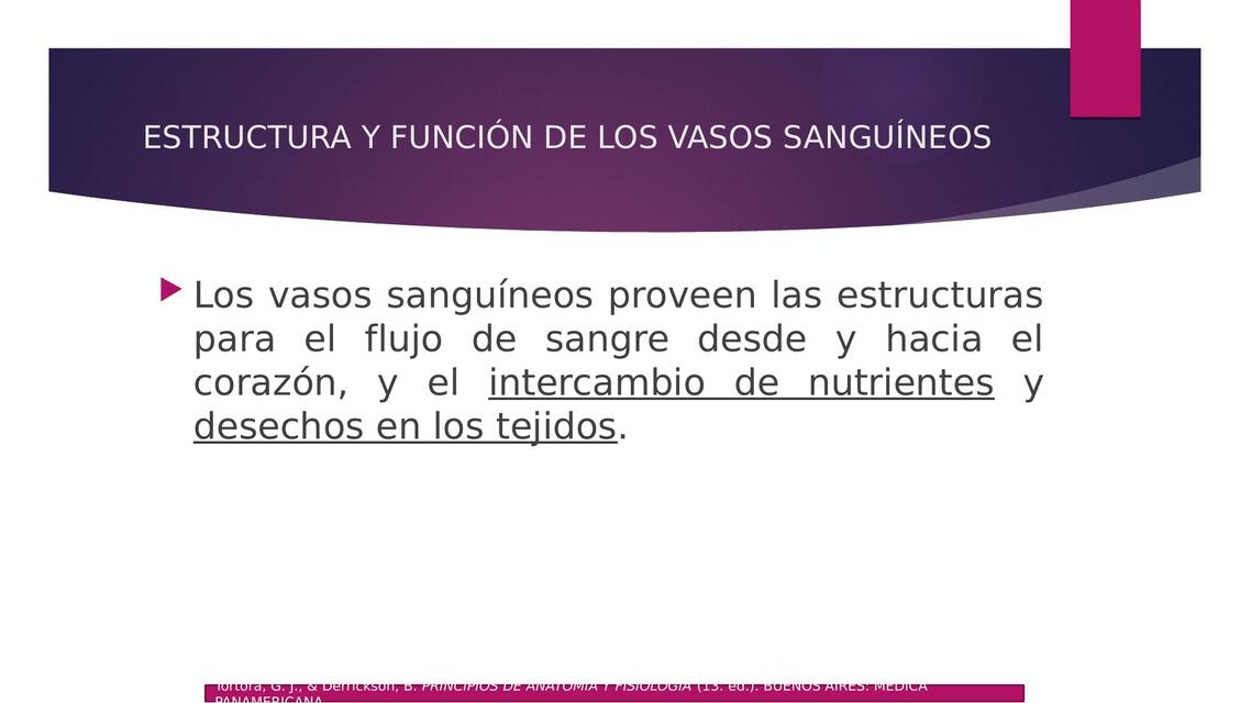 Estructura y Función de los Vasos Sanguíneos 