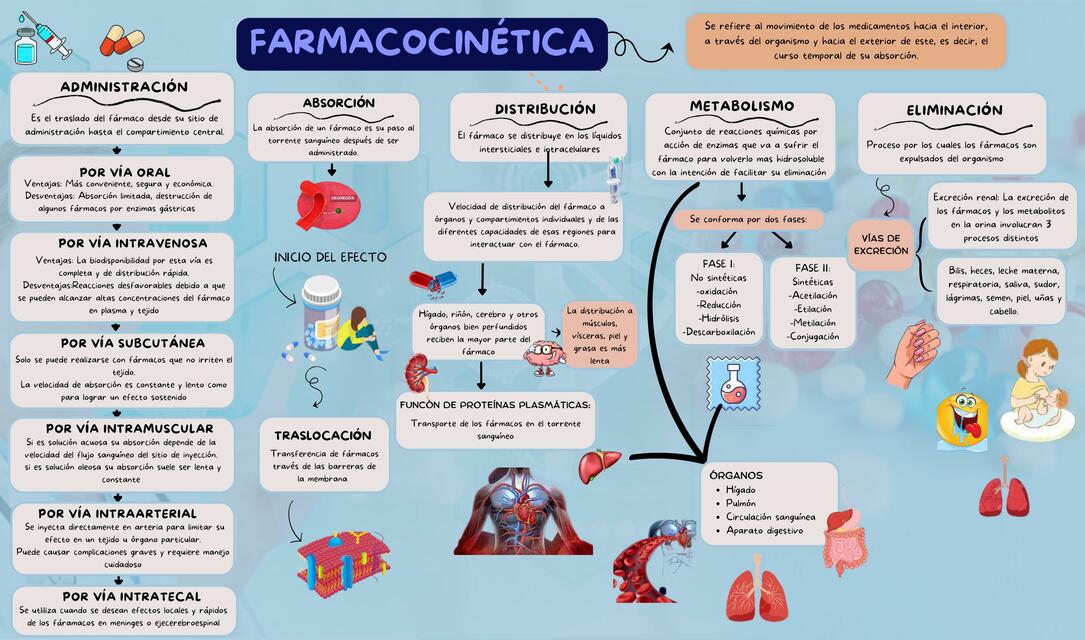 Farmacocinética