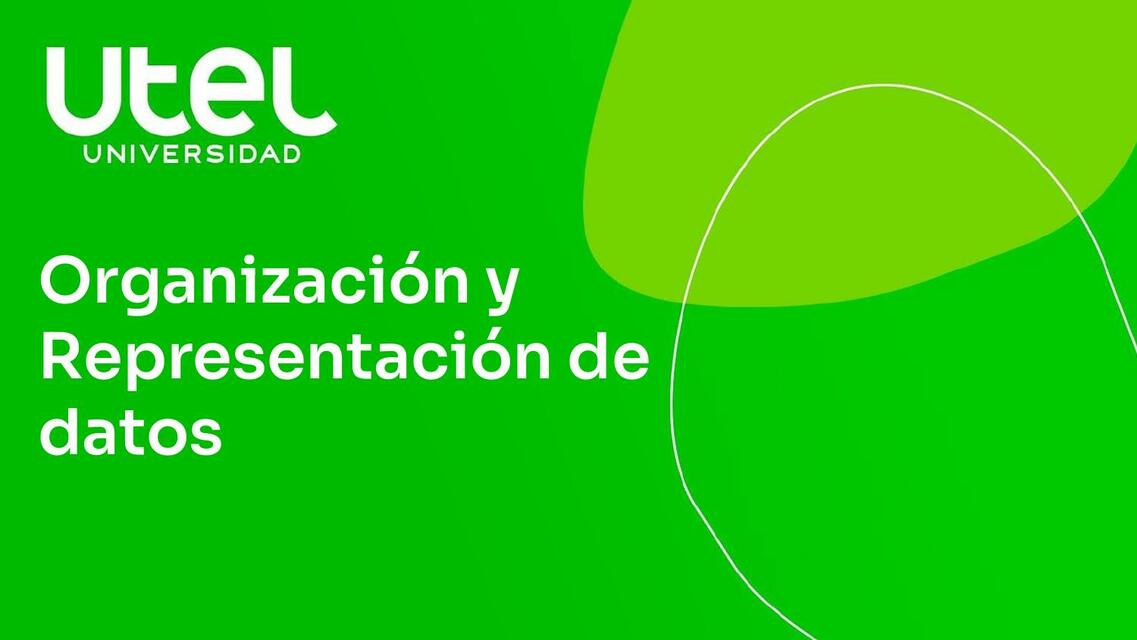 Organización y representación de Datos