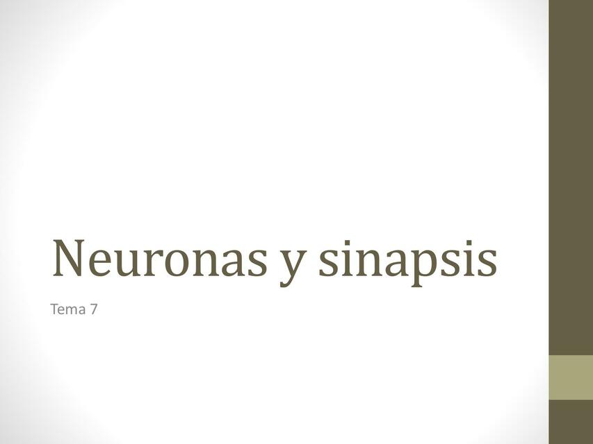  Neuronas y sinapsis