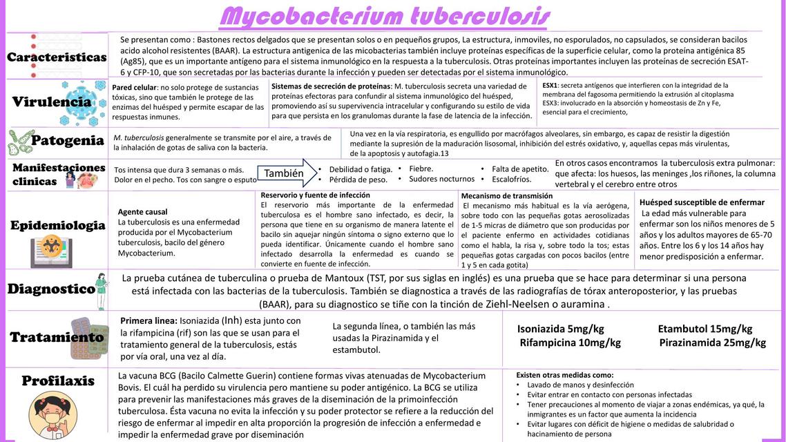 Cuadro resumen de tuberculosis   