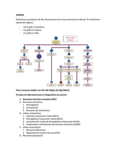 Anemia 