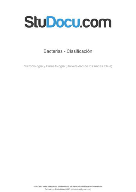 Bacterias- Clasificación