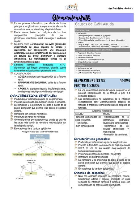 Glomerulonefritis 