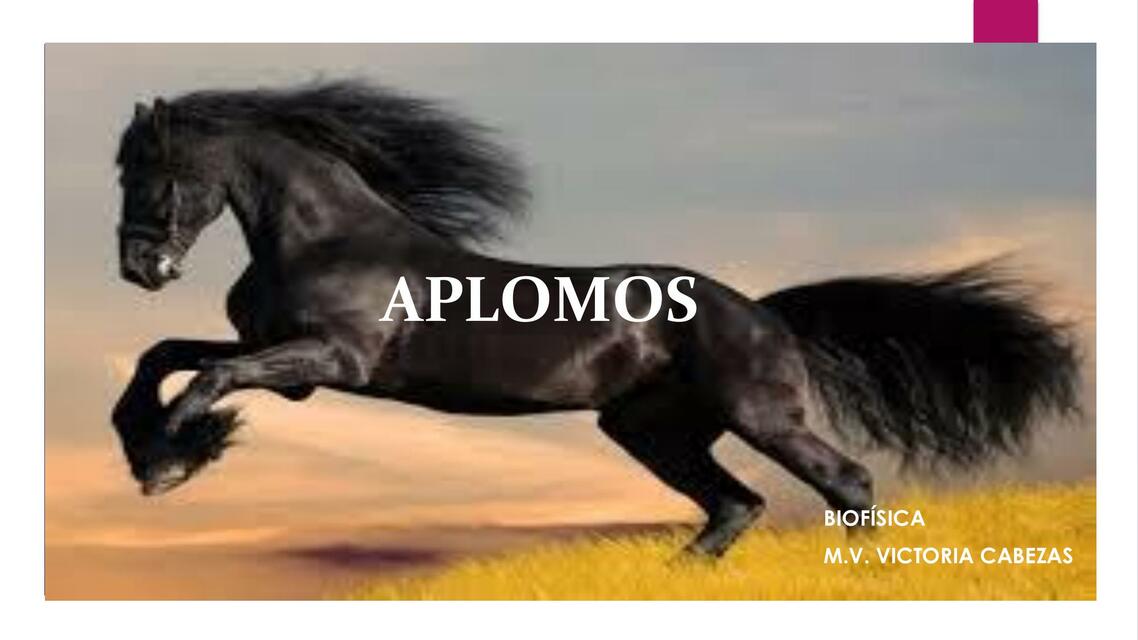 Aplomos