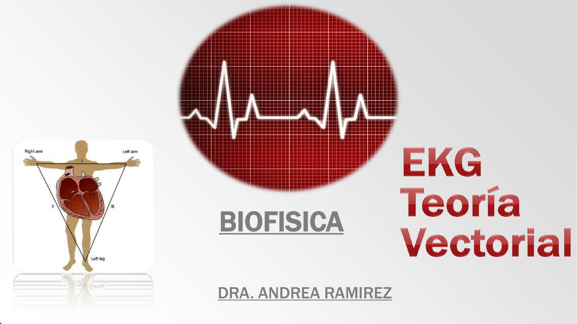 EKG- Teoría Vectorial