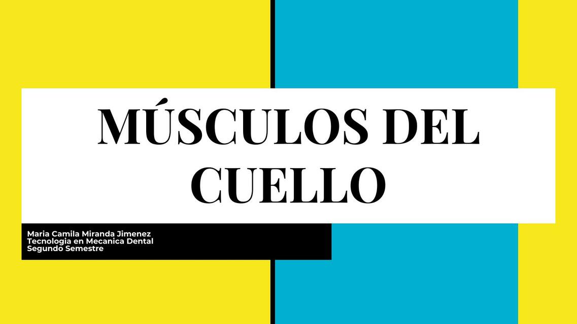 Músculos del Cuello 