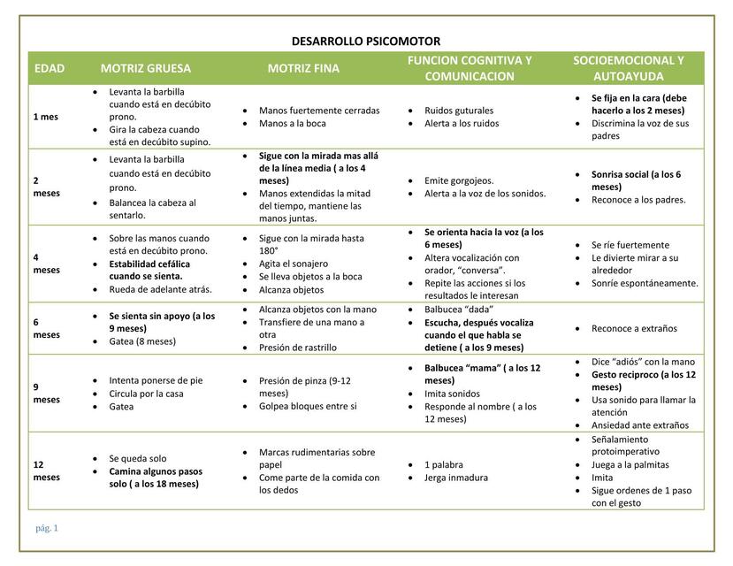 Desarrollo Psicomotor 