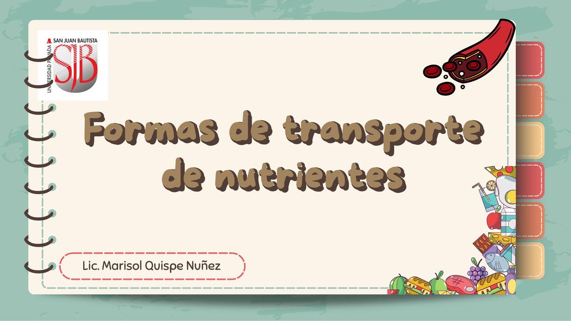 Formas de trasporte de nutrientes 