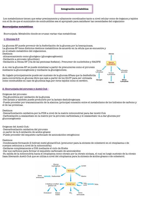 Integración metabólica