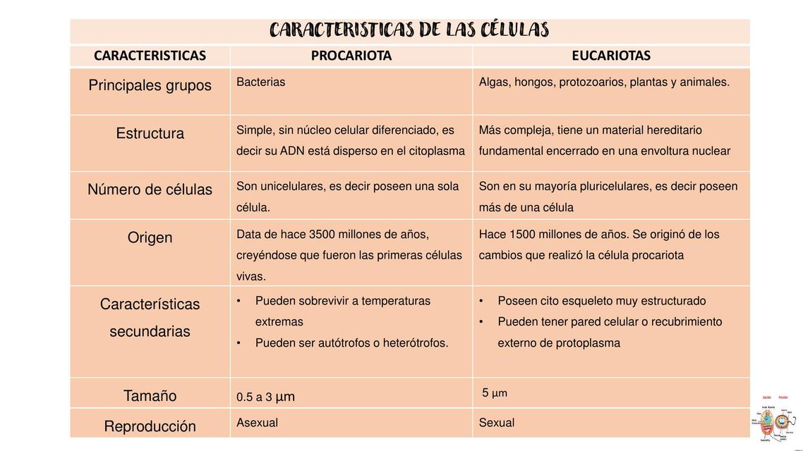 Características de las células/Microbiología