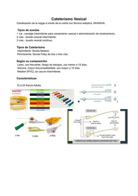 Cateterismo Vesical