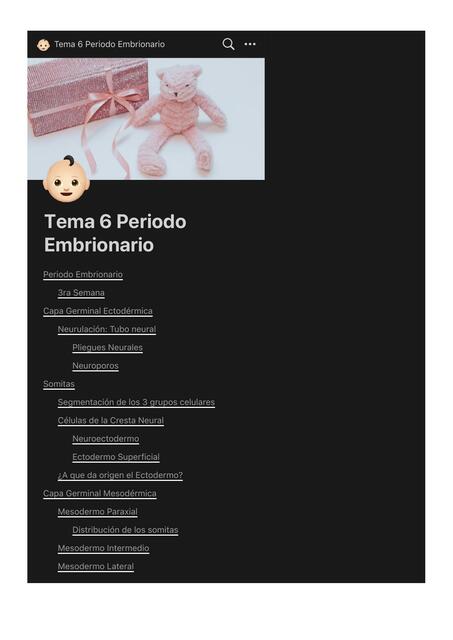 Tema 6 Periodo Embrionario