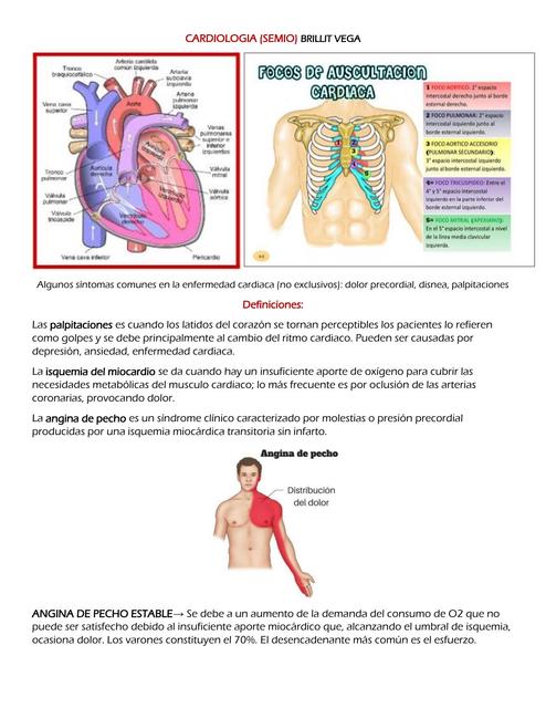 Cardiovascular  