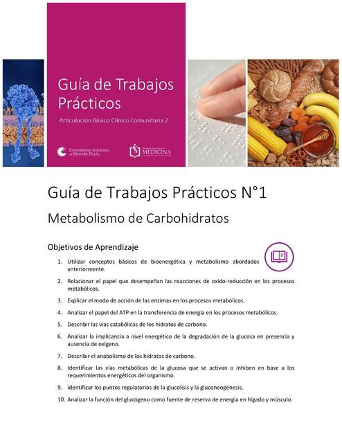 Metabolismo de Carbohidratos 