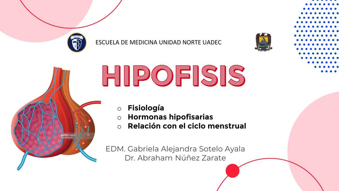 Hipófisis 