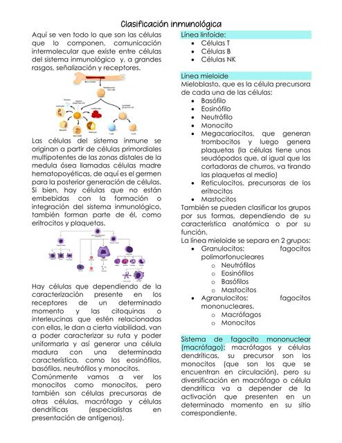 Clasificación Inmunológica