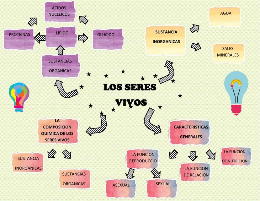 Esquema de los seres vivos