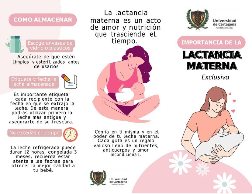 ▷ 【Tríptico de la Lactancia Materna】