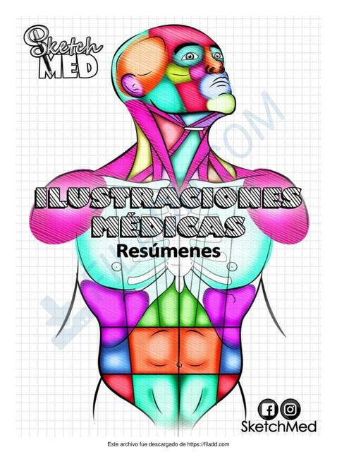 SketchMed Ilustraciones Médicas 