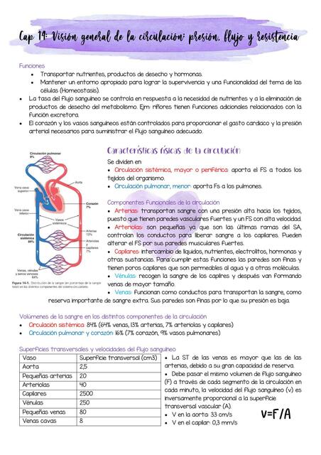 Visión General de la Circulación