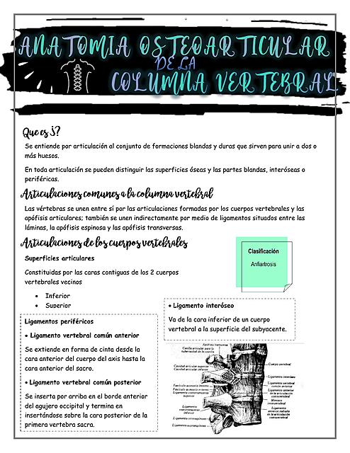 Anatomia y osteologia de la columna vertebral