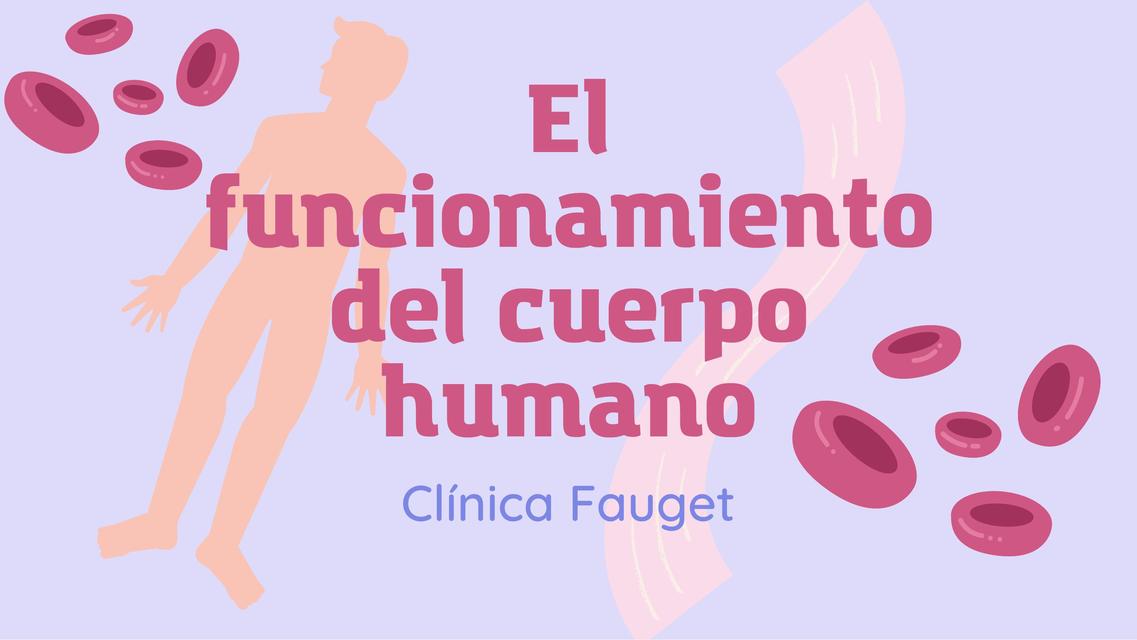 El funcionamiento del cuerpo humano 