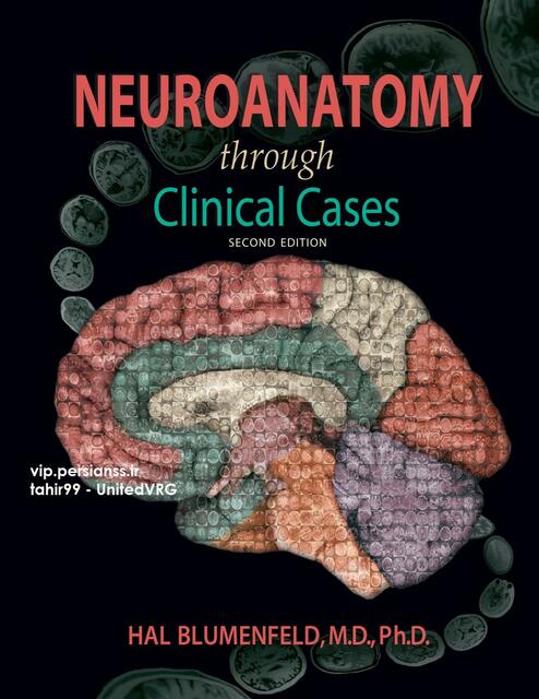 Neuroanatomy Through Clinical Cases 2nd Edition 