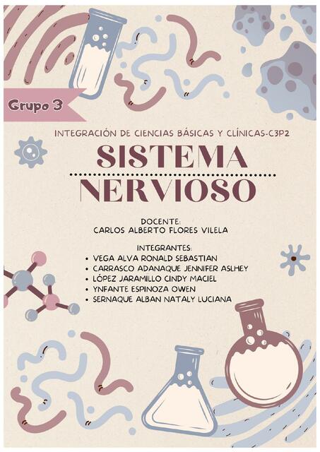 Sistema nervioso ciencias básicas práctica