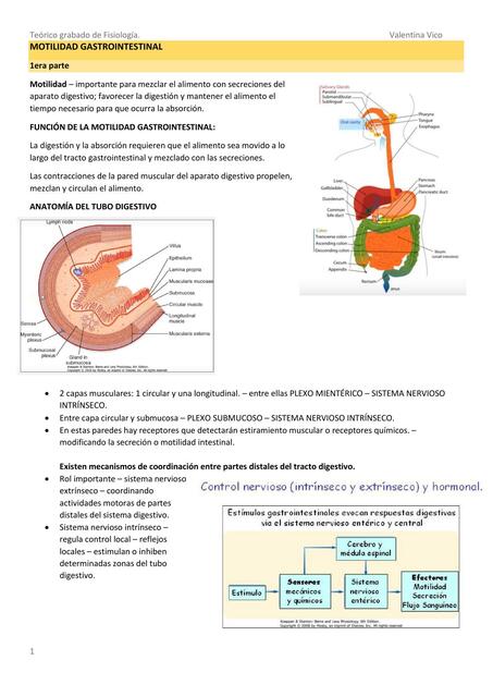 Motilidad gastrointestinal 